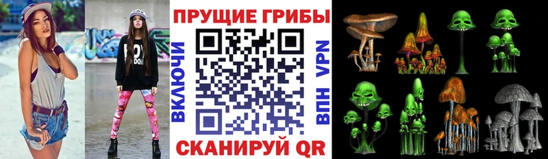 Псилоцибиновые грибы GOLDEN TEACHER  blacksprut онион  Ахтырский 
